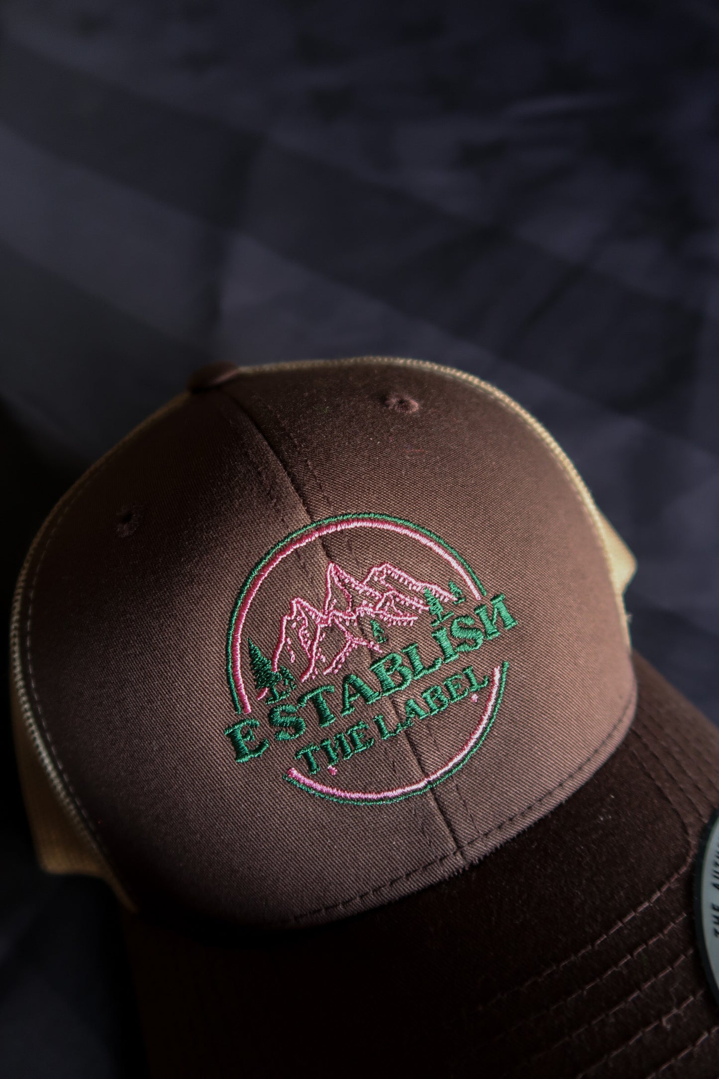 ESTABLISH MOUNTAIN SNAPBACK