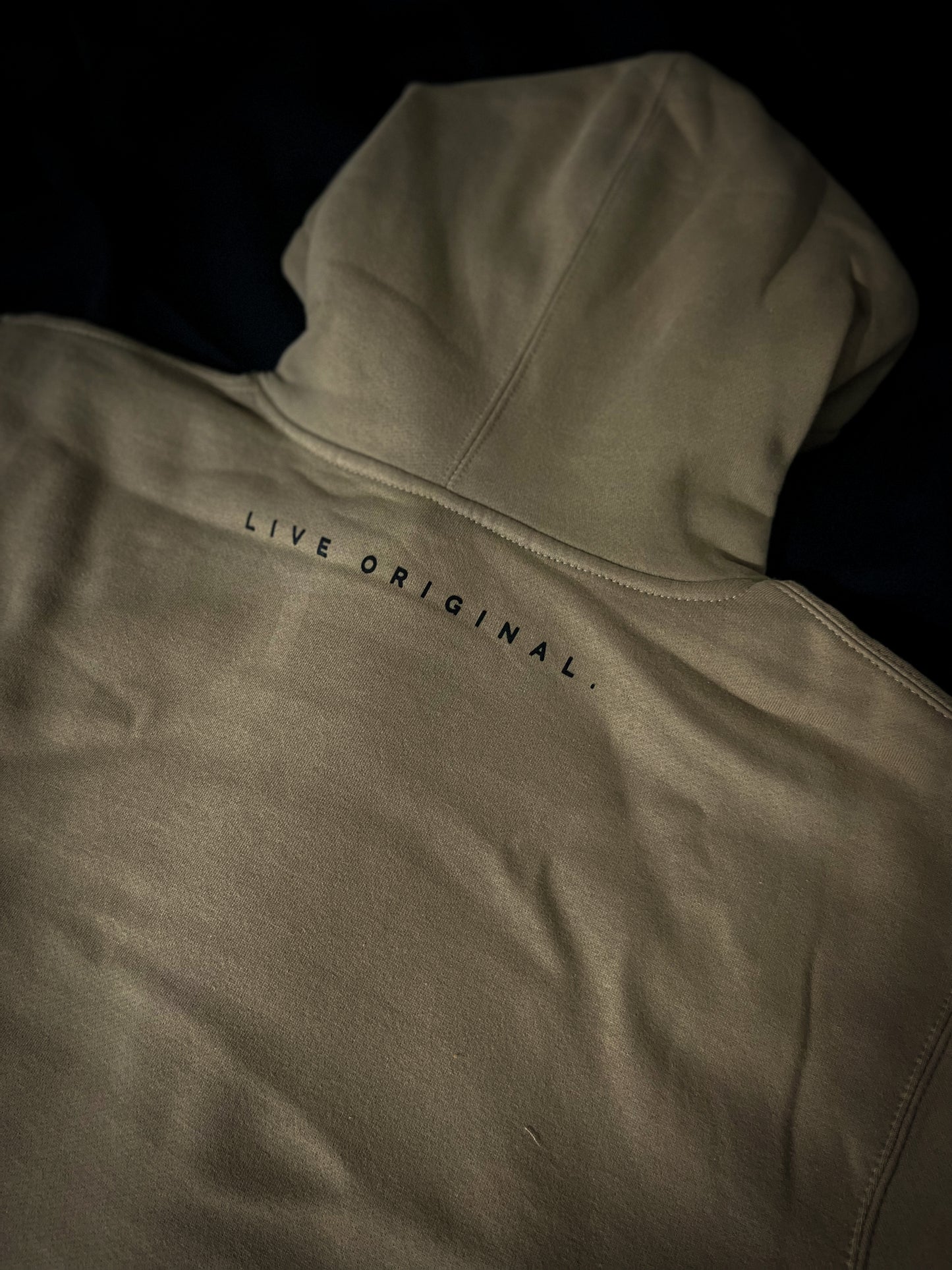 ESTABLISH ORIGINAL HOODIE