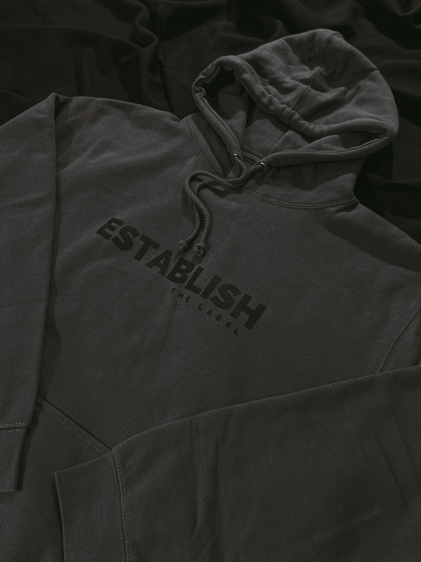 ESTABLISH ORIGINAL HOODIE